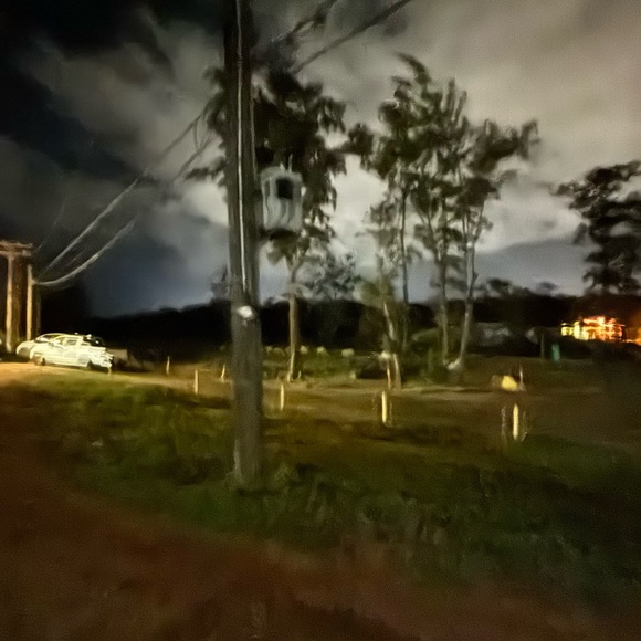 Meet your Posher, Jysette - Picture 1 of 1